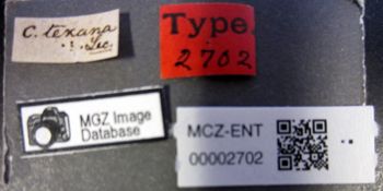Media type: image;   Entomology 2702 Aspect: labels